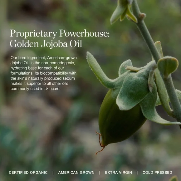 OGEE Indigo Dream Renewal Cream — White & Gold Jar - Picture 8 of 8